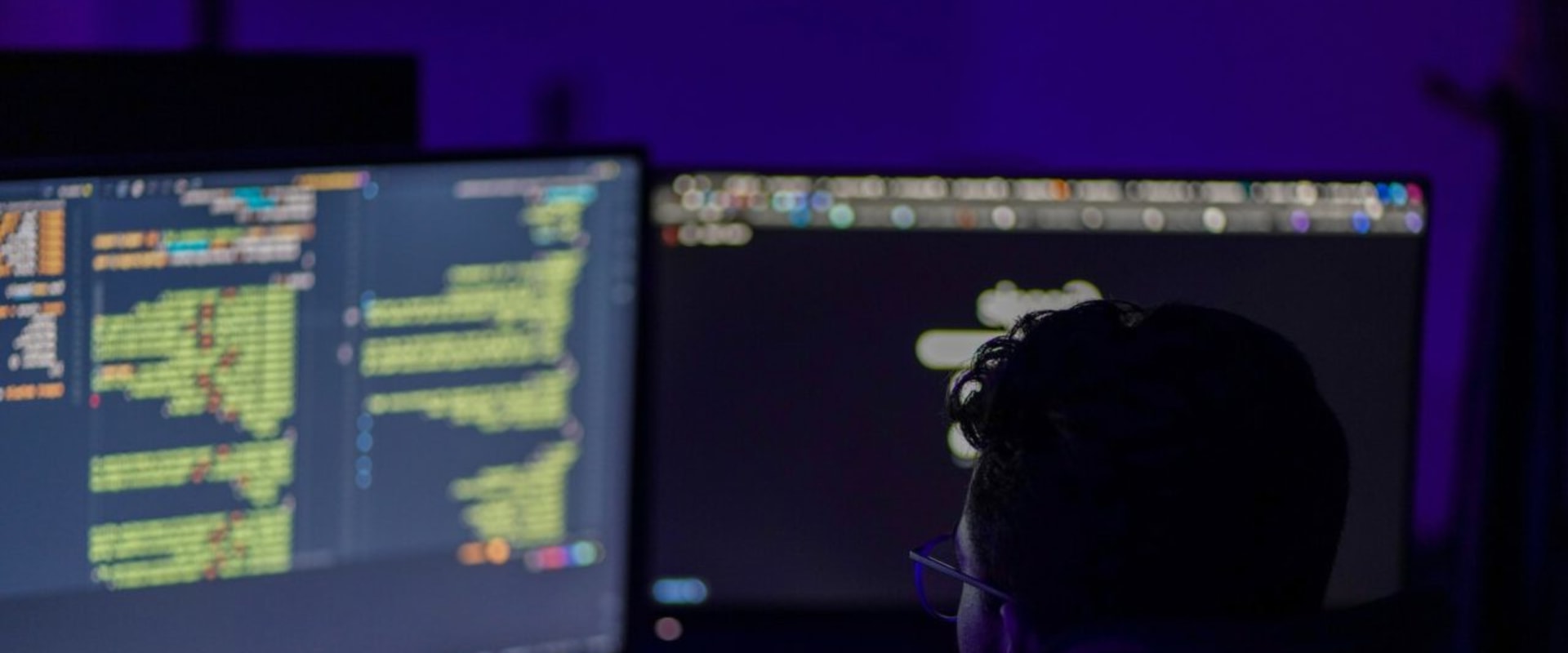 The Role of Software Developers in Coding